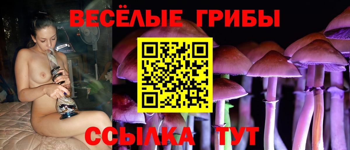 Мурино  Псилоцибиновые грибы ЛСД  Вход с VPN 